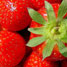 Fraise