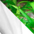 _Lait de chèvre / algues