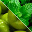Pomme verte menthol